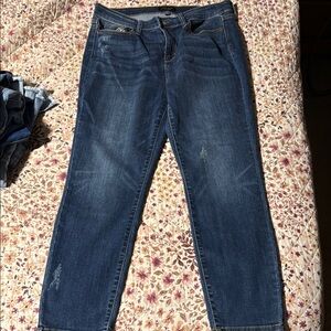 Judy Blue skinny jeans